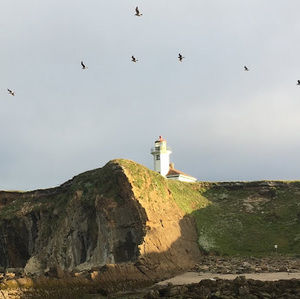 Meet your Posher, Samuel